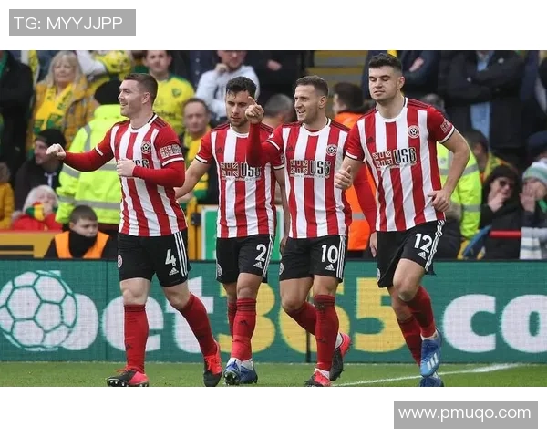 水晶宫与斯托克城队员配置全面分析及对比探讨 水晶宫与斯托克城队员配置全面分析及对比探讨