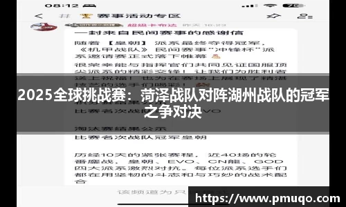 2025全球挑战赛：菏泽战队对阵湖州战队的冠军之争对决