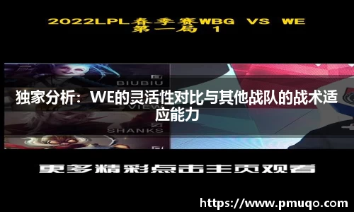 独家分析：WE的灵活性对比与其他战队的战术适应能力